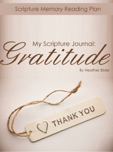 msjgratitudeflatimage2